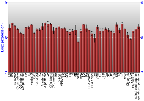 Multi-state expression graph