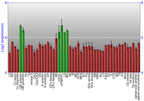 Multi-state expression graph