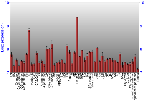 Expression graph
