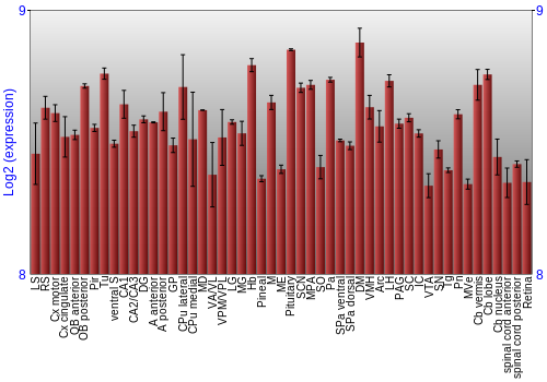 Expression graph