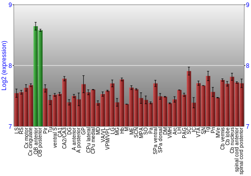 Multi-state expression graph