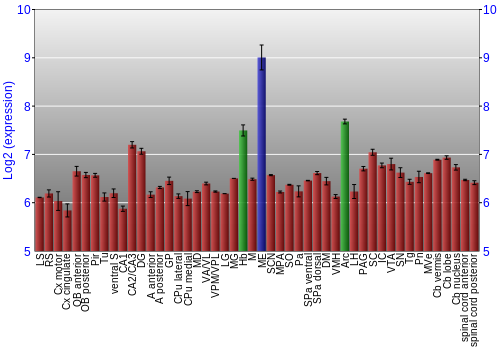 Multi-state expression graph