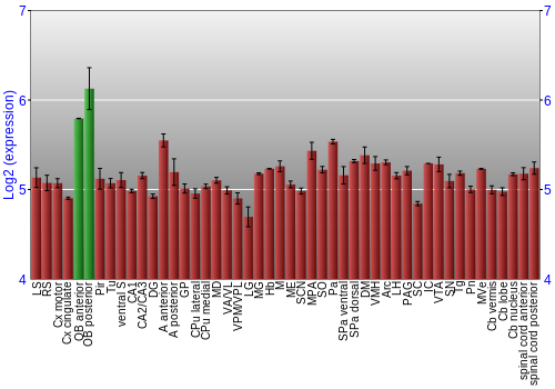 Multi-state expression graph