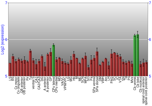 Multi-state expression graph