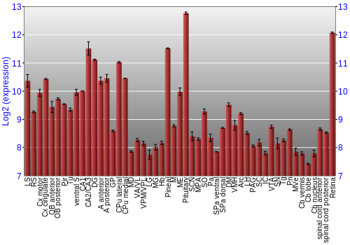 Expression graph