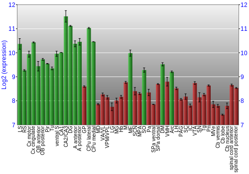 Multi-state expression graph