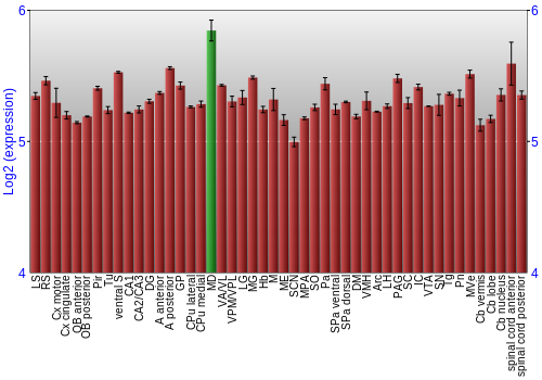 Multi-state expression graph
