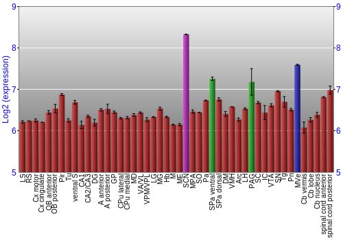 Multi-state expression graph