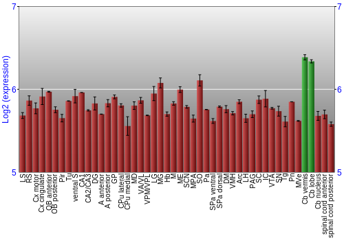 Multi-state expression graph
