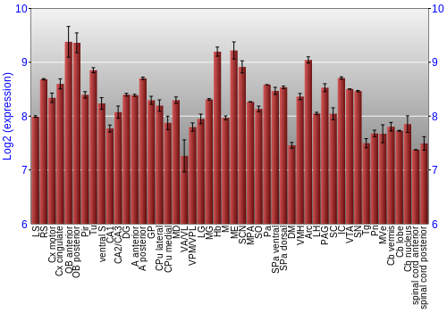 Multi-state expression graph