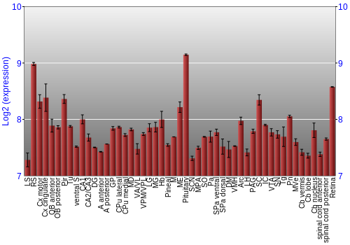 Expression graph