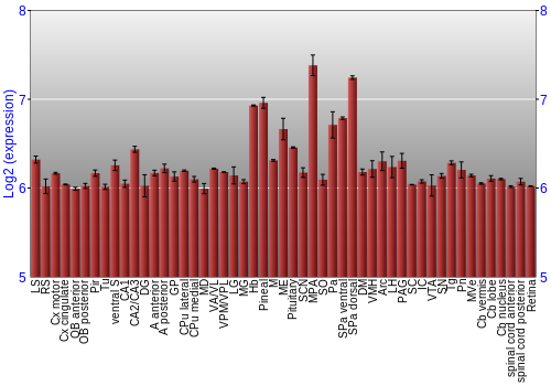 Expression graph