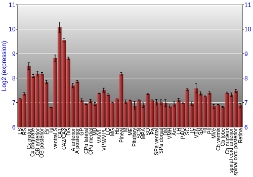 Expression graph