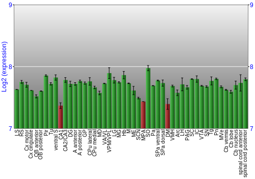Multi-state expression graph