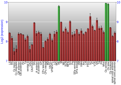 Multi-state expression graph