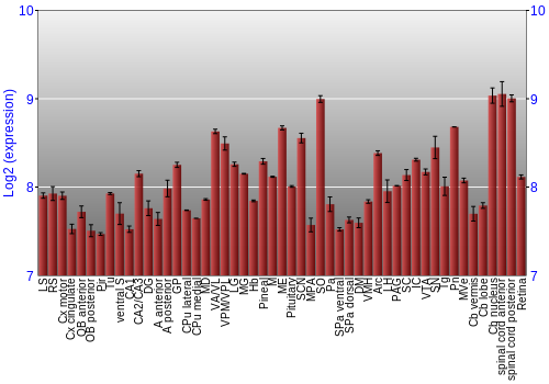 Expression graph
