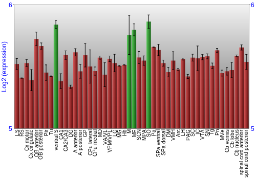 Multi-state expression graph