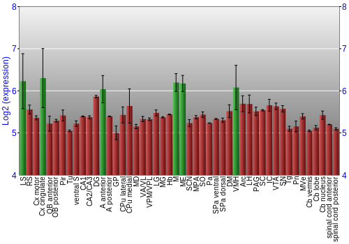 Multi-state expression graph