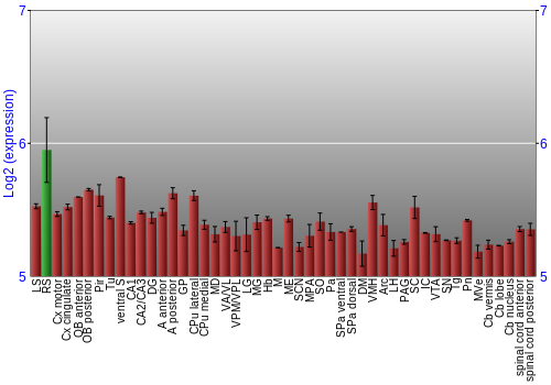 Multi-state expression graph