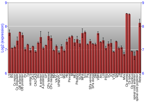Expression graph