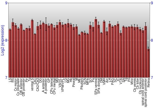 Expression graph