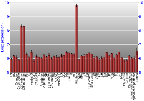 Expression graph