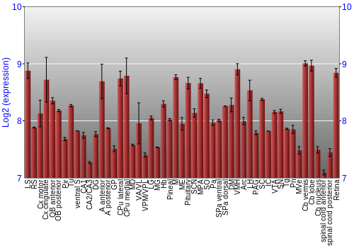 Expression graph