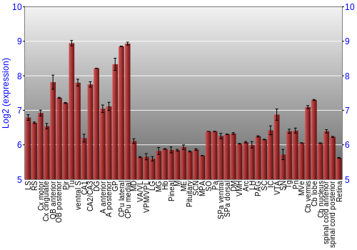 Expression graph