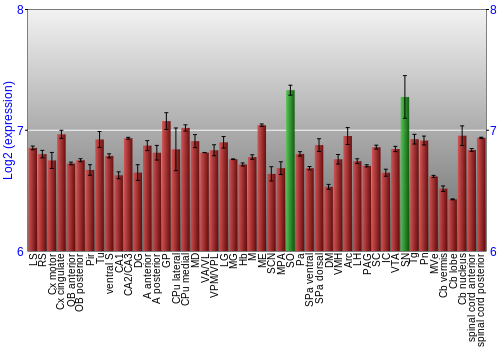 Multi-state expression graph