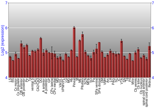 Expression graph
