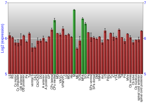 Multi-state expression graph