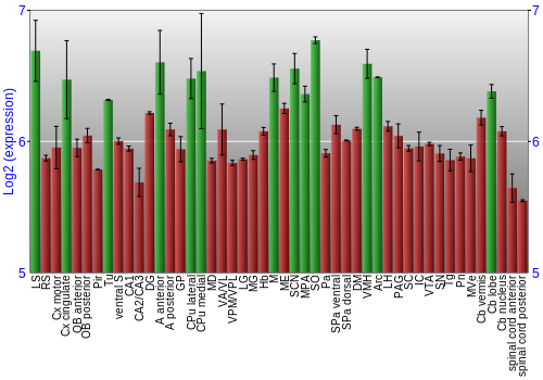 Multi-state expression graph