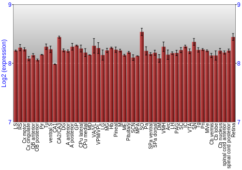Expression graph
