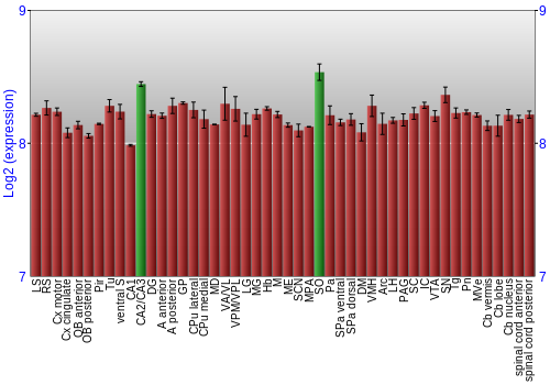 Multi-state expression graph