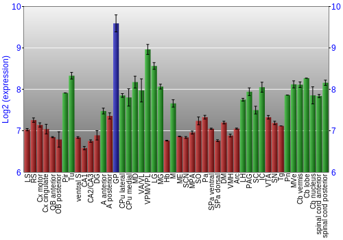 Multi-state expression graph