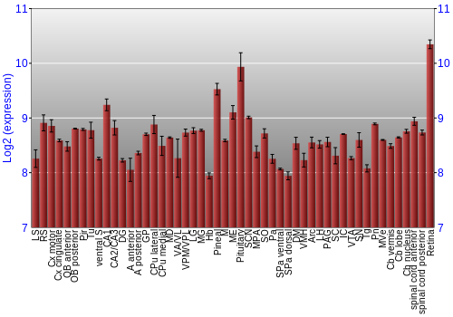 Expression graph