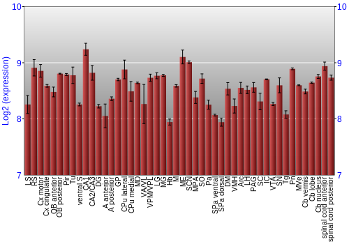 Multi-state expression graph