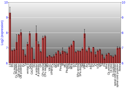 Expression graph