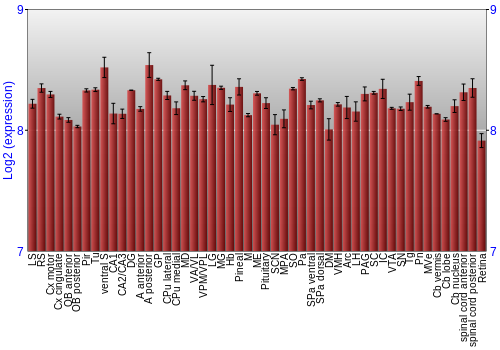 Expression graph