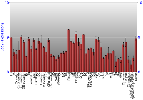 Expression graph