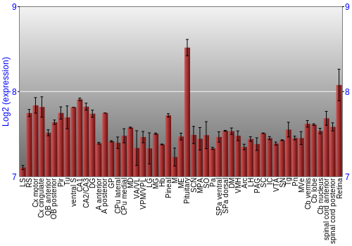 Expression graph
