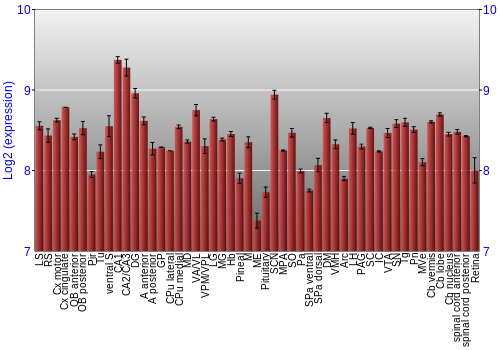 Expression graph