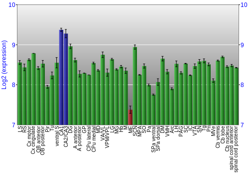 Multi-state expression graph
