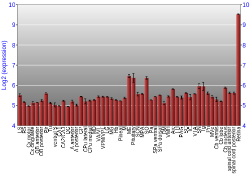 Expression graph