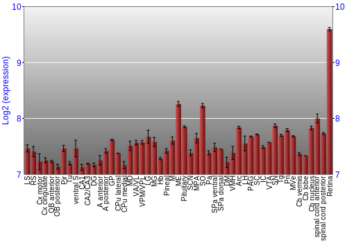 Expression graph