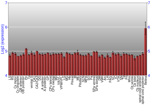 Expression graph