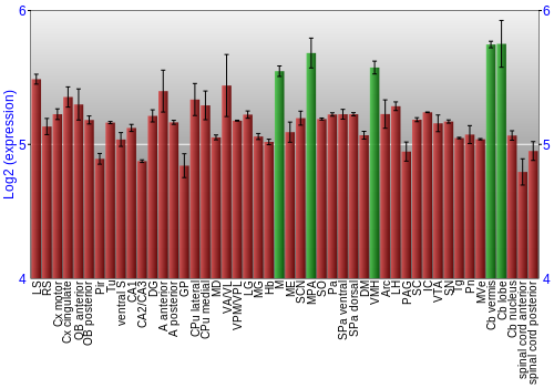 Multi-state expression graph