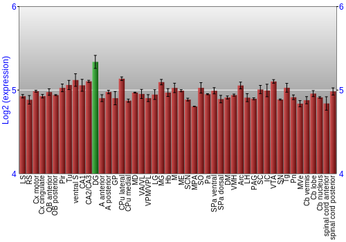 Multi-state expression graph