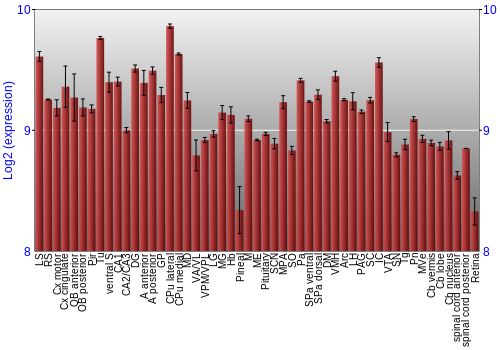 Expression graph