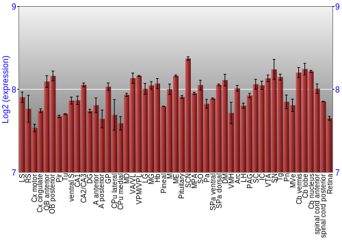 Expression graph